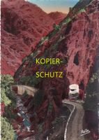 Les Alpes-Maritimes - Gorges supérieures du CIANS /bc