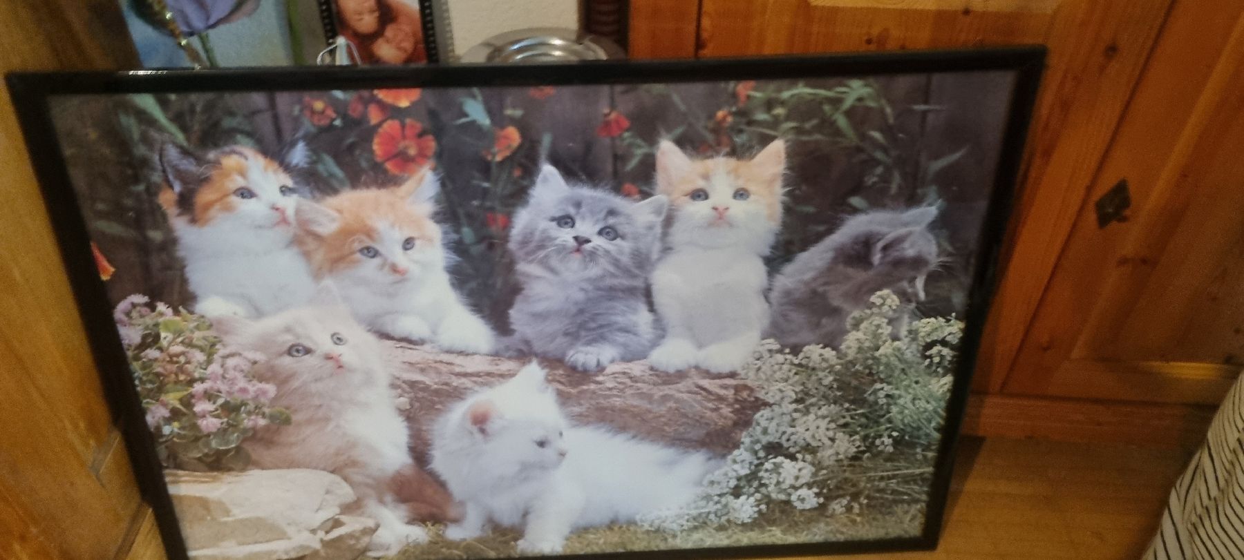 Poster & Bilder: Süsses Katzenbild mit Rahmen gerahmt – Gebraucht aus Basel von Jcva 3