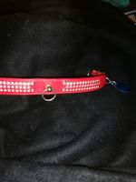 Rotes Hundehalsband mit Strass, verstellbar, neuwertig!