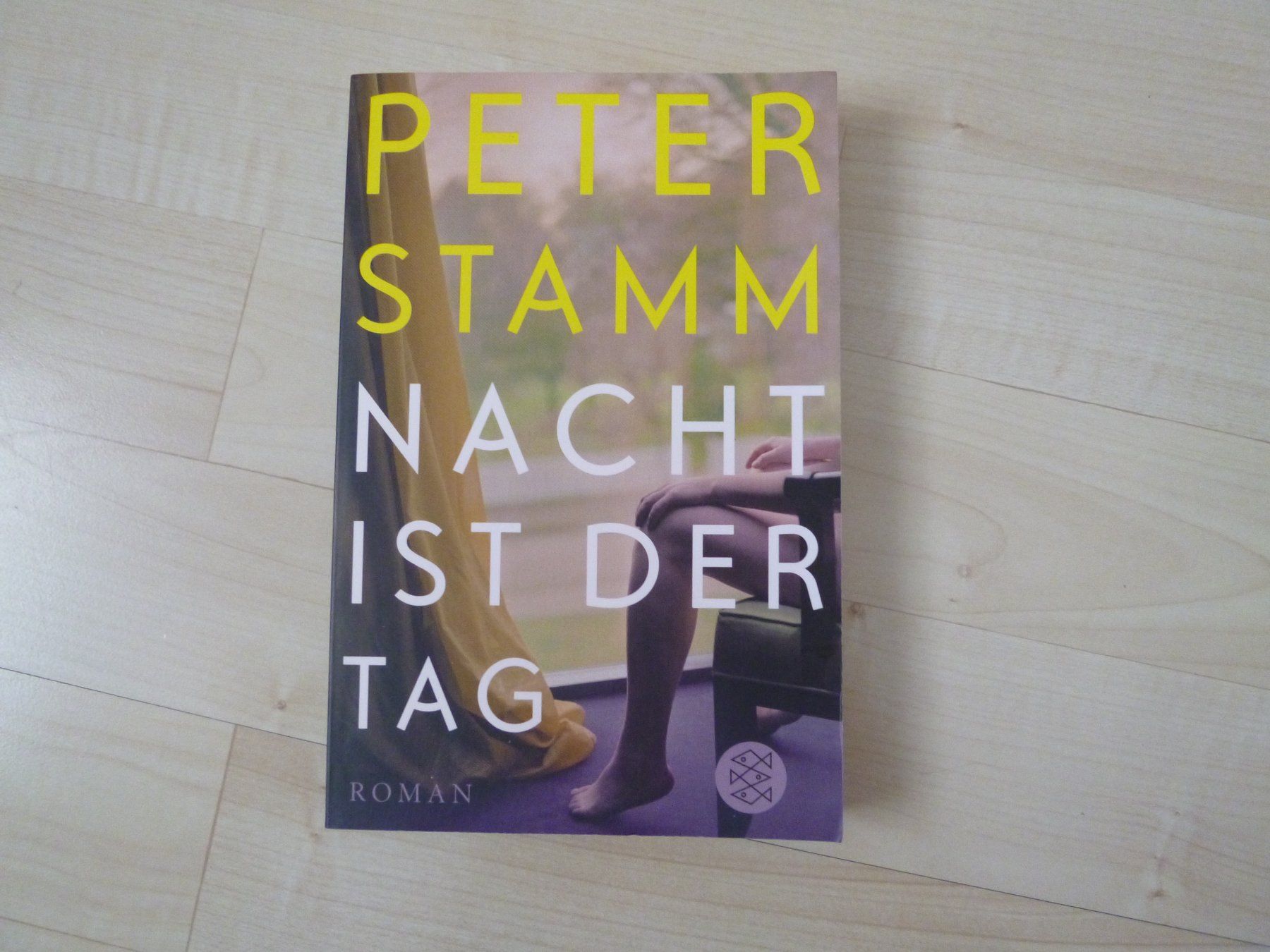 Libri: Nacht ist der Tag   Peter Stamm  TB – Usato da Dättlikon venduto da Mamakuga