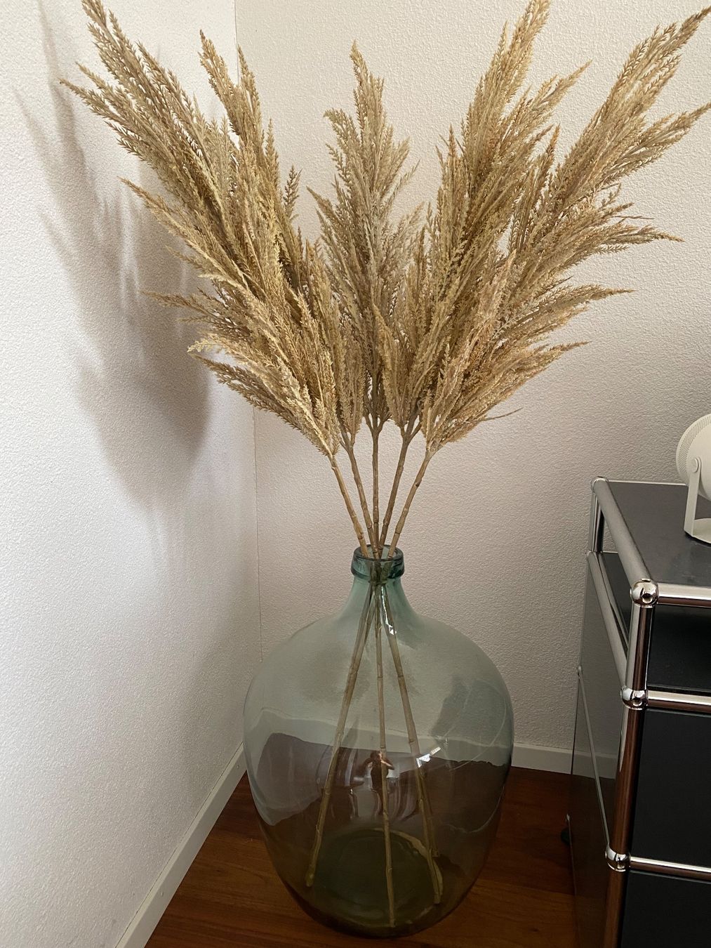 Vase & Récipients: Glasvase mit Pampasgras – D'occasion à Nidau par deb_wt78