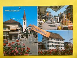 Wallisellen ZH