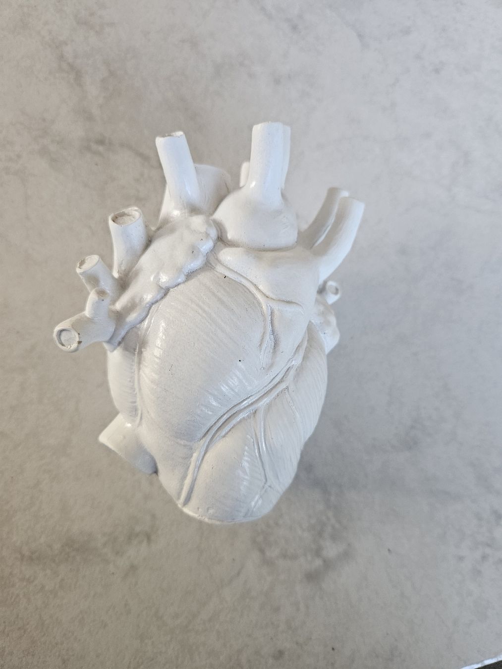 Vasi & Recipienti: Deko Vase Herz anatomisch weis – Nuovo (secondo la descrizione) da Aristau venduto da Fr3aKy 2