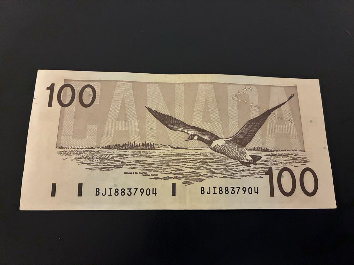 Banconote: 100 Dollar Banknote Canadian 1988 – Usato da Dällikon venduto da Woldbanknoten 2