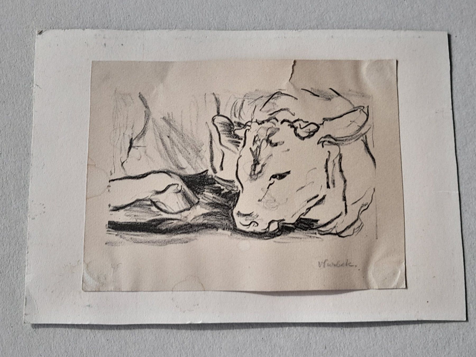 Grafica & Litografie: Litho Victor Surbek " Kälbchen " – Usato da Thun venduto da Treff.....e