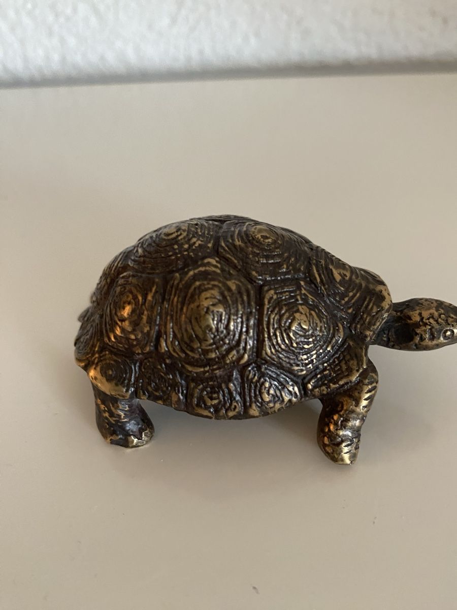 Sculture & Statue: Bronze, Schildkröte klein – Nuovo (secondo la descrizione) da Zürich venduto da eileenchen1 4