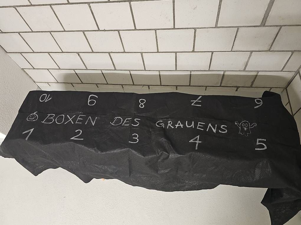 Giochi: Boxen des Grauens Spiel – Usato da Münchenbuchsee venduto da Bussistyle