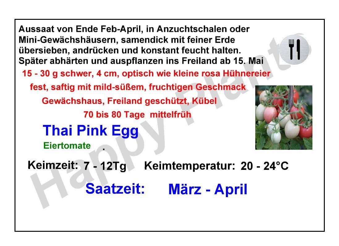 Pflanzen & Samen: Thai Pink Egg - Eiertomate - 10 Samen – Neu und originalverpackt aus Sumiswald von Cham14559 4