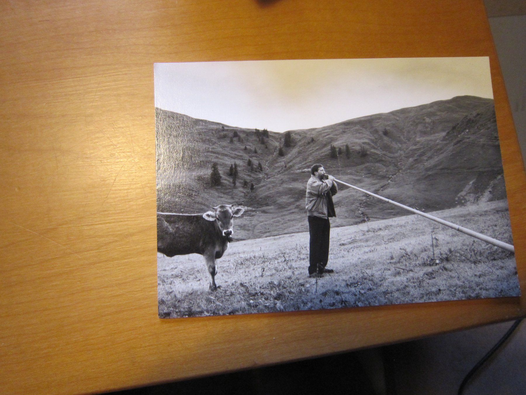 Alle Briefmarken: No Postkarte ALPHORN schöne Belege – Gebraucht aus Gordola von Polentaefung 2