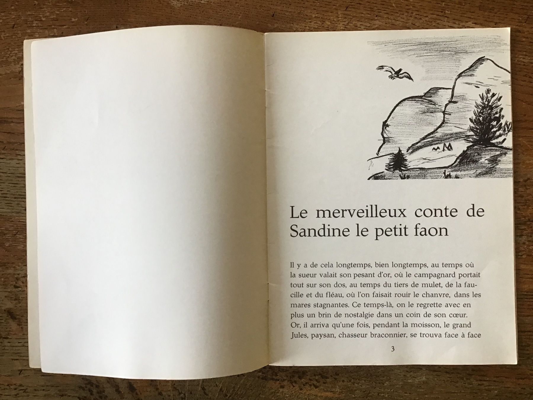 Libri: Gaston de Saxé, conte de Sandine, dessin et dédicace – Usato da Fully venduto da Ruby97 2
