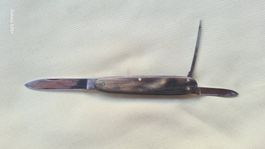 Taschenmesser aus Horn Gebr. Gisi Olten Victorinox 24 Gramm