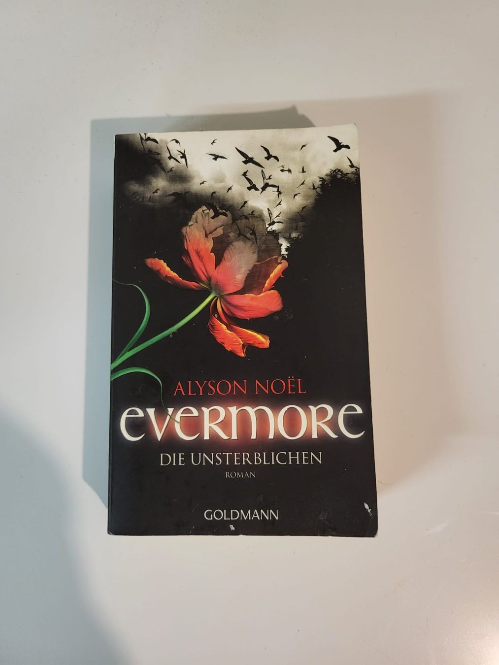 Libri: Evermore - Alyson Noël – Usato da Wynigen venduto da NLe0413