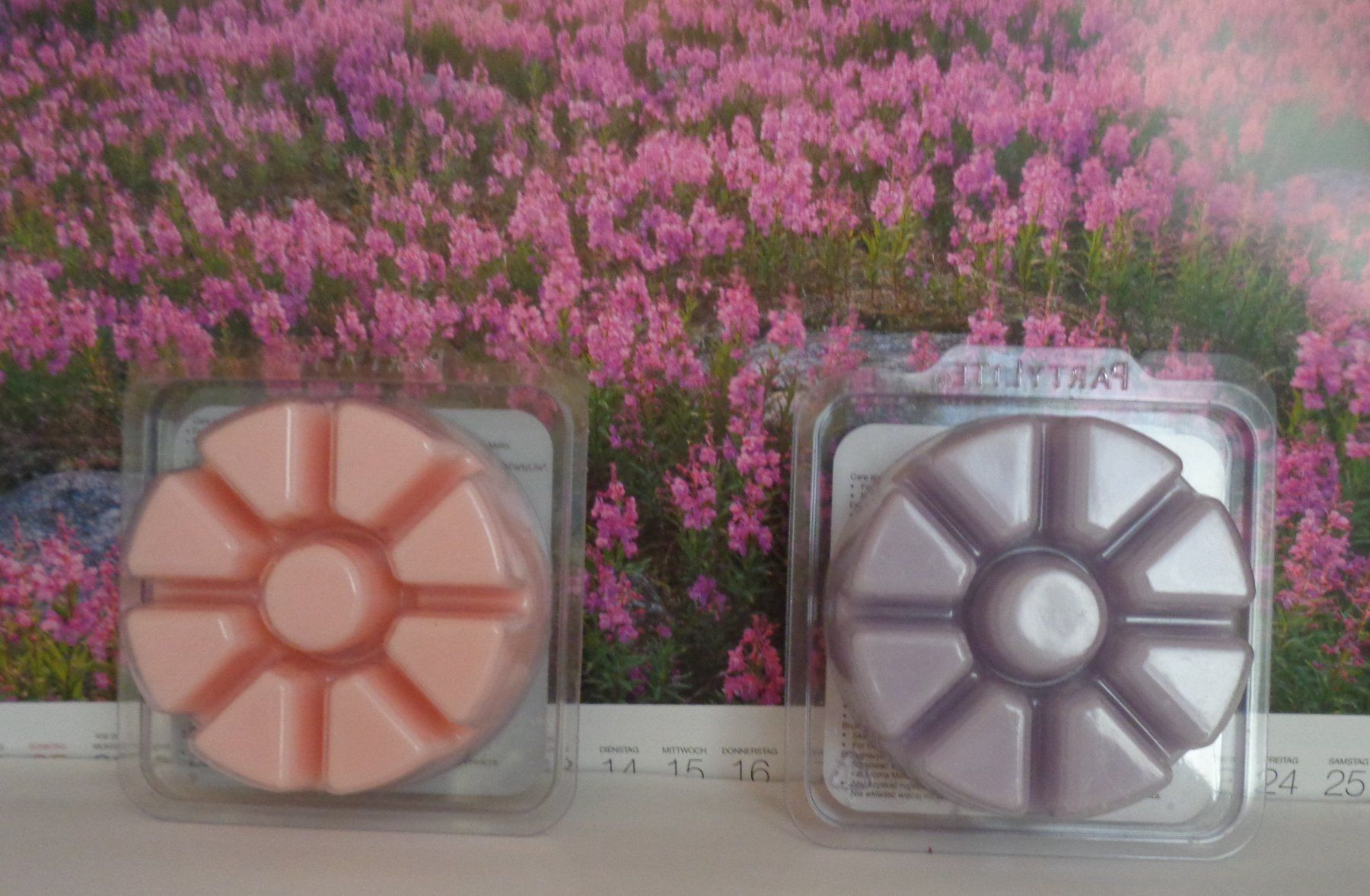 Partylite Candele: Scent Plus Melts Lavendel ODER Wilde Rose – Nuovo e nell'imballaggio originale da Frauenkappelen venduto da Sunneschy00