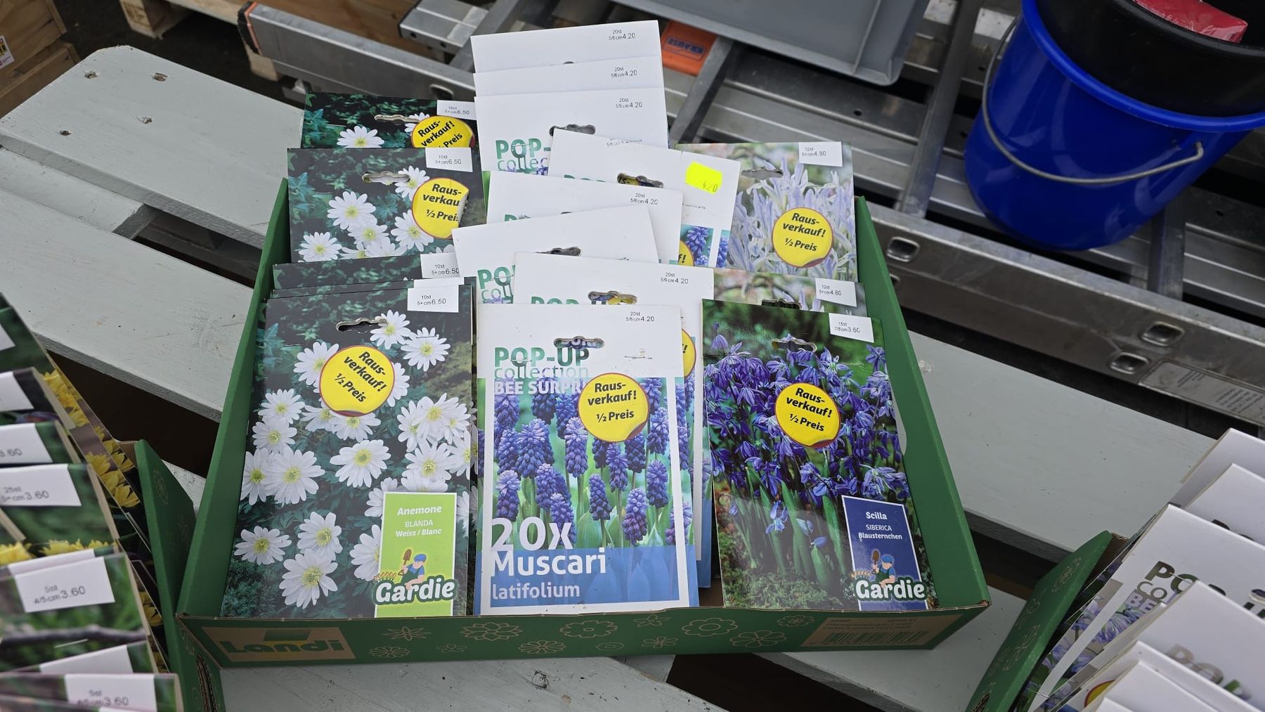 Piante & sementi: Restposten 100 Pack Setzzwiebeln Div. – Nuovo e nell'imballaggio originale da Dussnang venduto da kevin0812 2