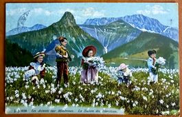 Les Avants / Montreux - Enfants cueillent des Narcisses 1914
