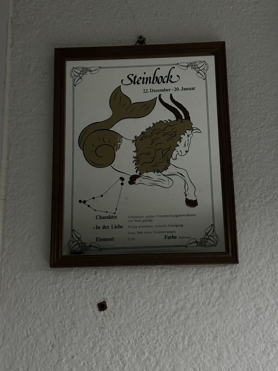 Specchi: Bild Spiegel – Usato da Reinach AG venduto da Steinbock1963