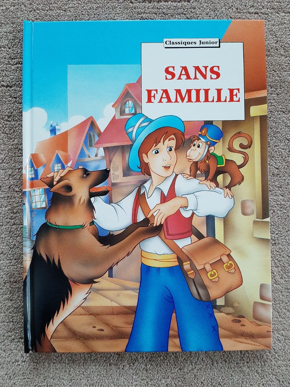 Libri: Livre Sans Famille – Usato da Wittenbach venduto da lukelu