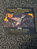 THE LIFE OF BIRDS