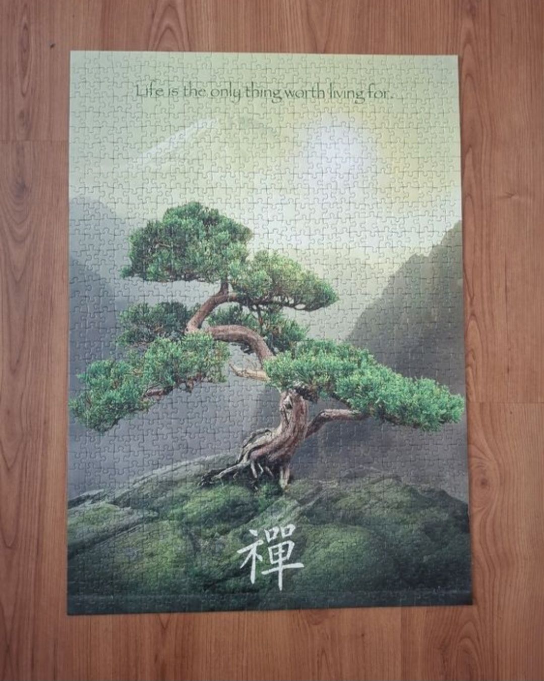 Foto & Immagini: 28 schöne Puzzlebilder – Usato da Hunzenschwil venduto da Hardrock6 2