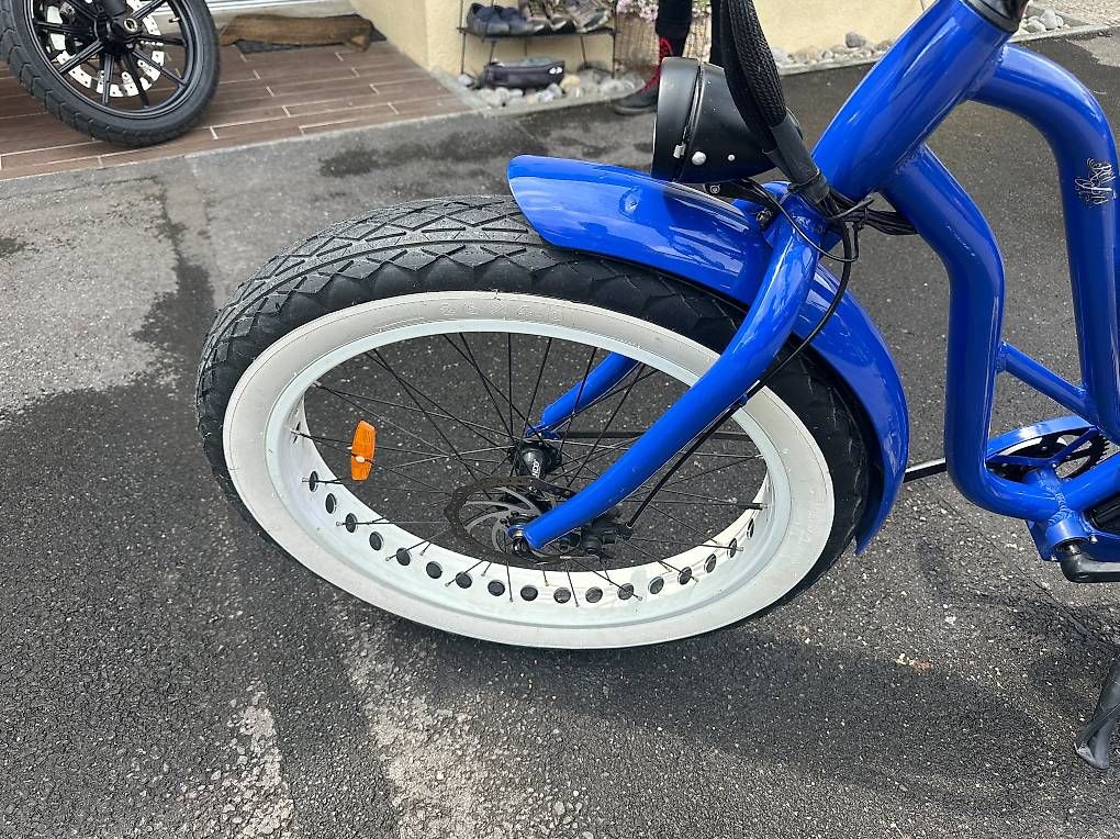 Biciclette: Fatbike électrique type Lady Gorille – Usato da Aire-la-Ville venduto da alo_5grh 2