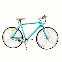 RR Singlespeed 2.0 E-Bike 54cm 250W