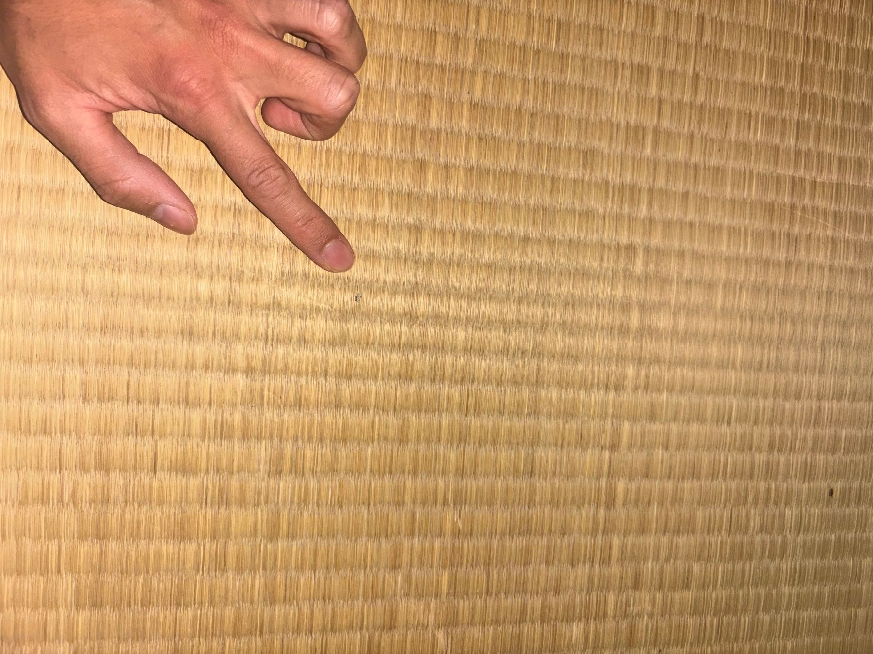 Betten: 2 Tatami Matten – Gebraucht aus Zürich von yo_nas 1