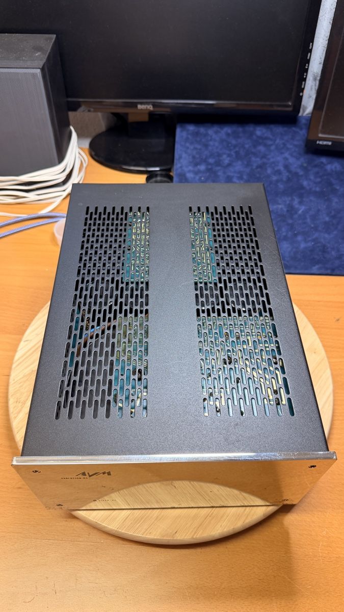 Avm Amplificatori: AVM Evolution-M3 Mono Endstufen – Difettoso da Wallisellen venduto da Ada92 9