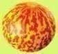 Piante & sementi: MELON TIGRE ! RARE! 5g – Nuovo (secondo la descrizione) da Bremblens venduto da FIBONACCI369 1