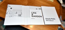 BUCH Ursula Palla – Whiteout 02/2022 GUTER ZUSTAND