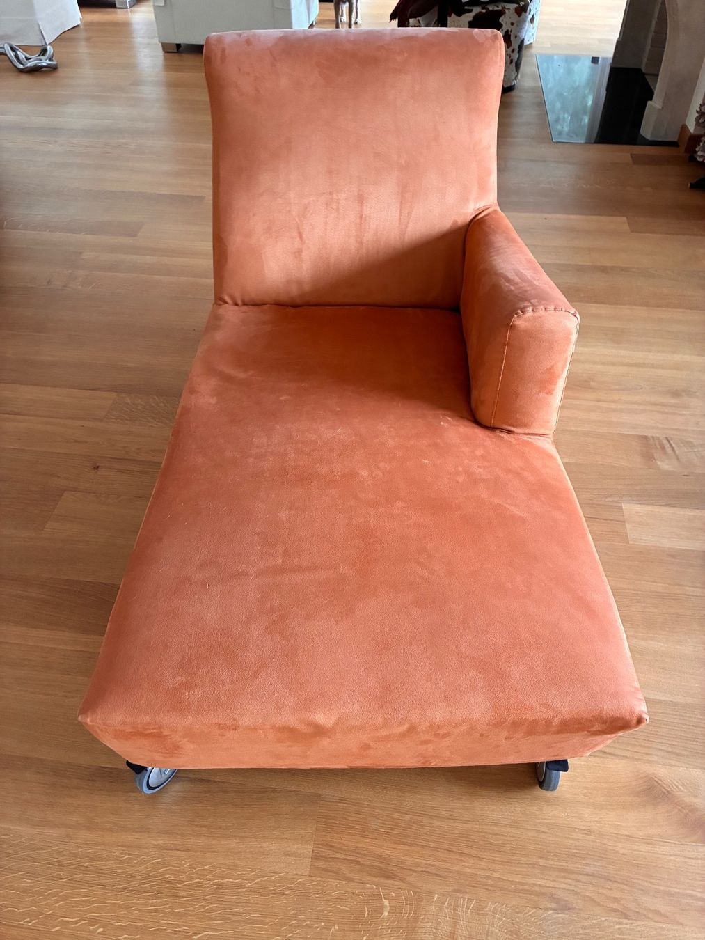 Flexform Liegen & Liegestühle: Chaise Lounge – Neu (gemäss Beschreibung) aus Zollikon von Zollikonoffice 1
