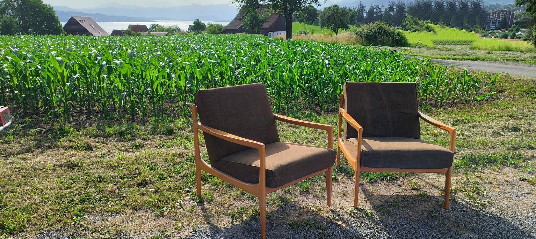 Poltrone: Mid Century Sessel Vintage – Usato da Wädenswil venduto da M_Gee