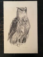 Lithographie – Otto Wyss - Uhu