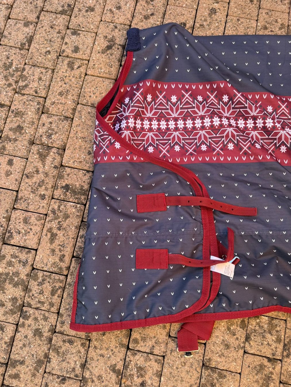 Felix Bühler Coperte: Pony Regendecke – Usato da Wohlen AG venduto da Andaras20 3