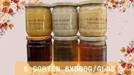 Honig-Degustationspaket – 6 Sorten 6x500g direkt vom Imker