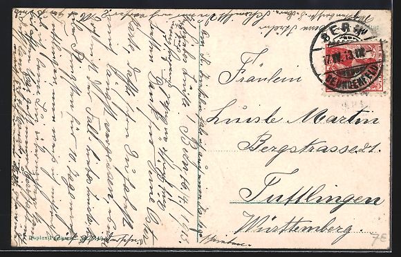 Cartes postales: AK Bern, Botanischer Garten, 1913 – D'occasion à Berlin par bartko-reher 1