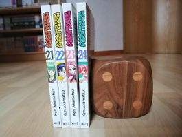 Magister Negi Magi 21-24