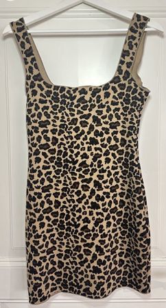 Cooles Kleid Leomuster M