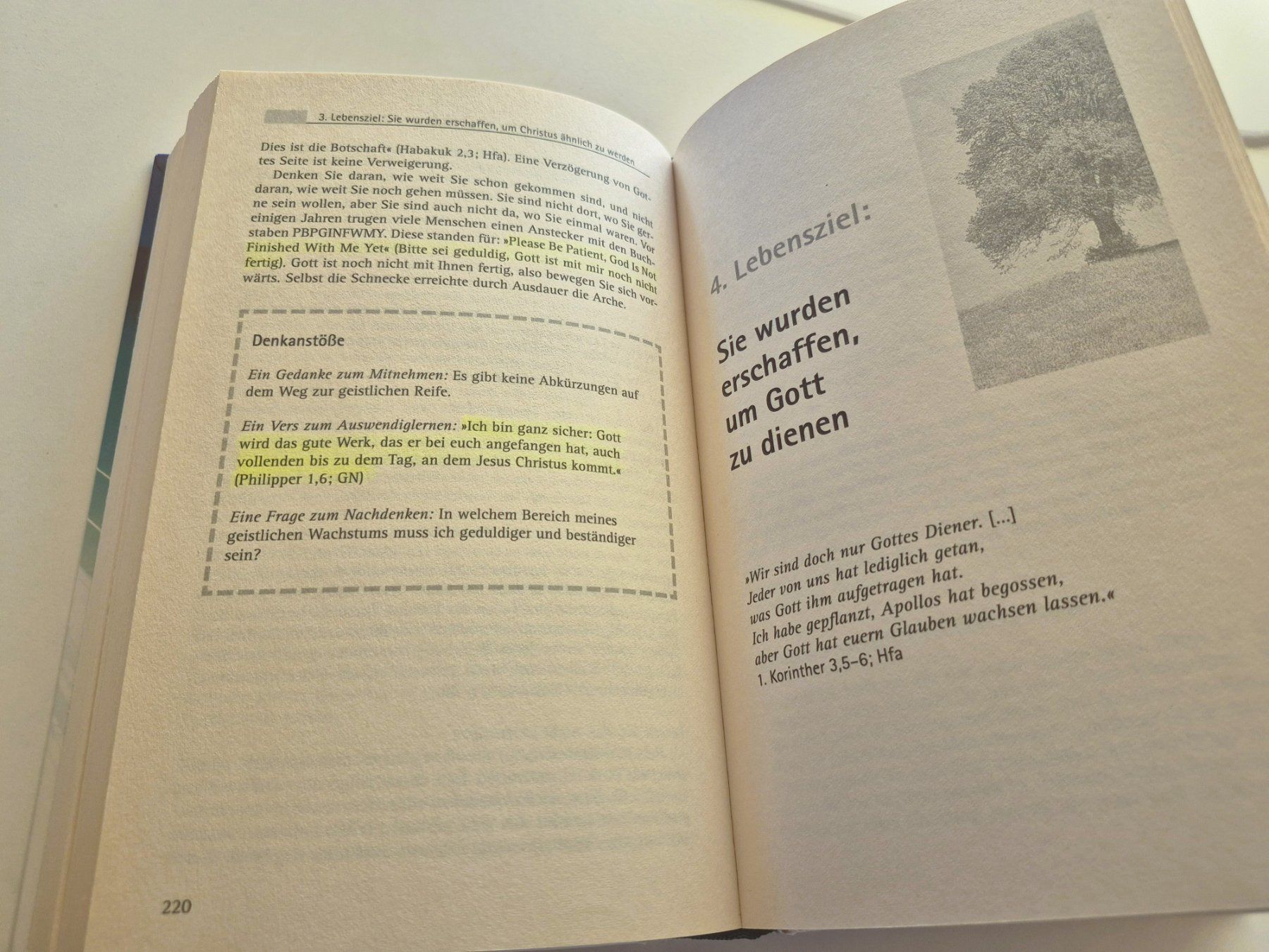 Libri: Leben mit Vision - Rick Warren – Usato da St. Gallen venduto da Amelie_73 3