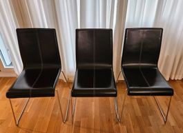 Stuhl / Esszimmerstühle / Leder / Marke PEDRALI