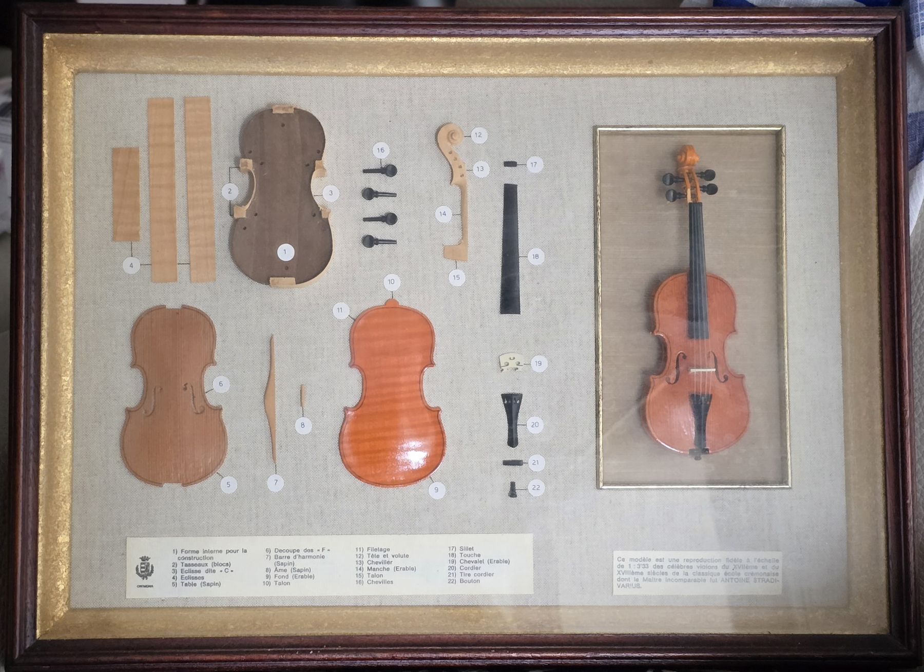 Dipinti: Anatomie d'un violon | Artisanat de Crémone – Usato da Châtelaine venduto da Osoleil