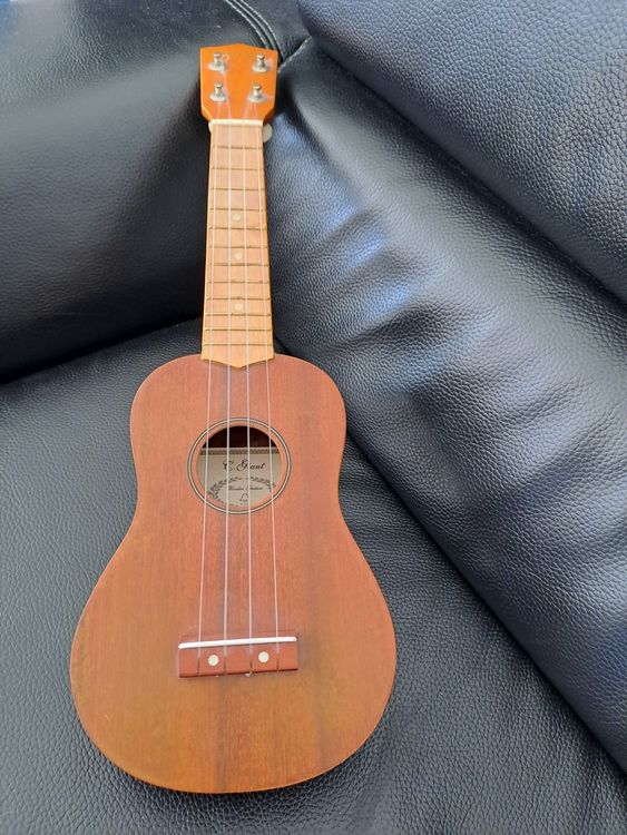 C.Giant Ukulele Kaufen auf Ricardo