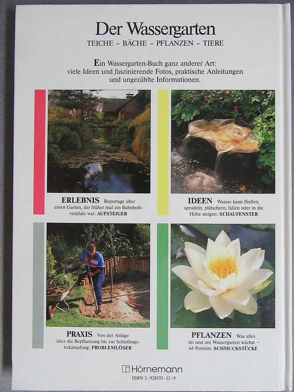 Libri: Der Wassergarten - Teiche • Bäche • Pflanzen • Tiere – Usato da Auenstein venduto da Padabimbim 1
