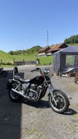 Honda VT 500 C (Guter Zustand, mit Ausweis)