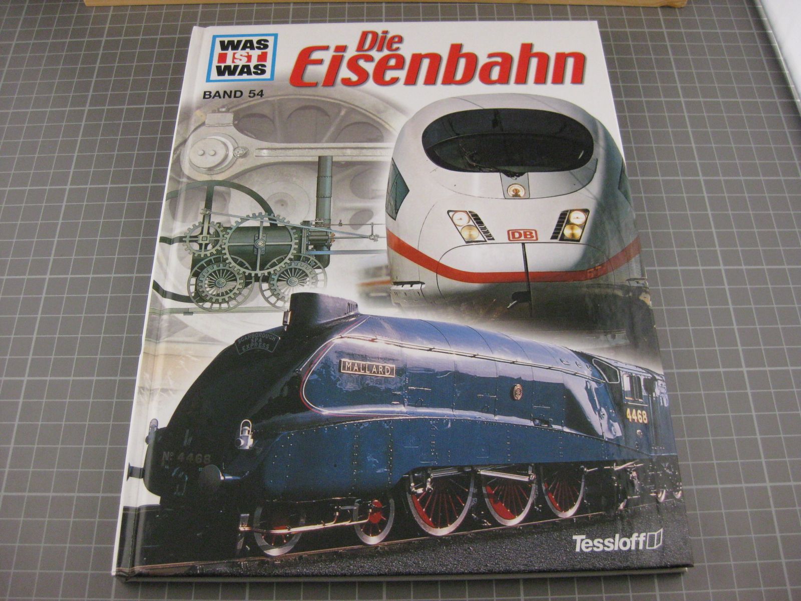 Libri: Die Eisenbahn – Usato da Malters venduto da Marosko
