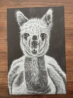 Zeichnung Alpaka Schwarz Weiss