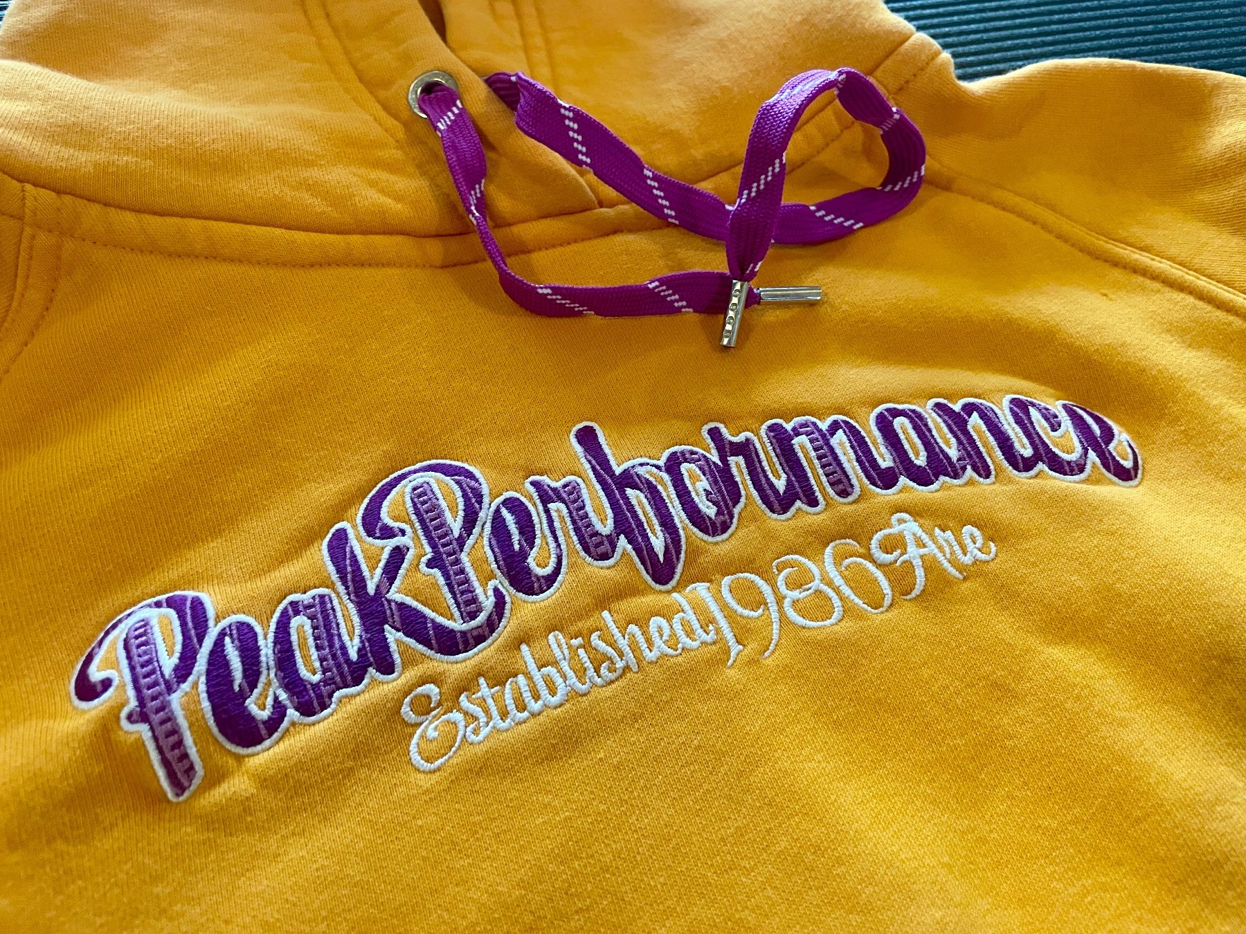 Peak Performance Maglioni & Felpe: warmer Peak Performance Kapuzen Pulli Damen L – Usato da Aeschi b. Spiez venduto da patricianeuhauser 3