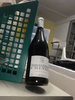 Rotwein Chinon 2010