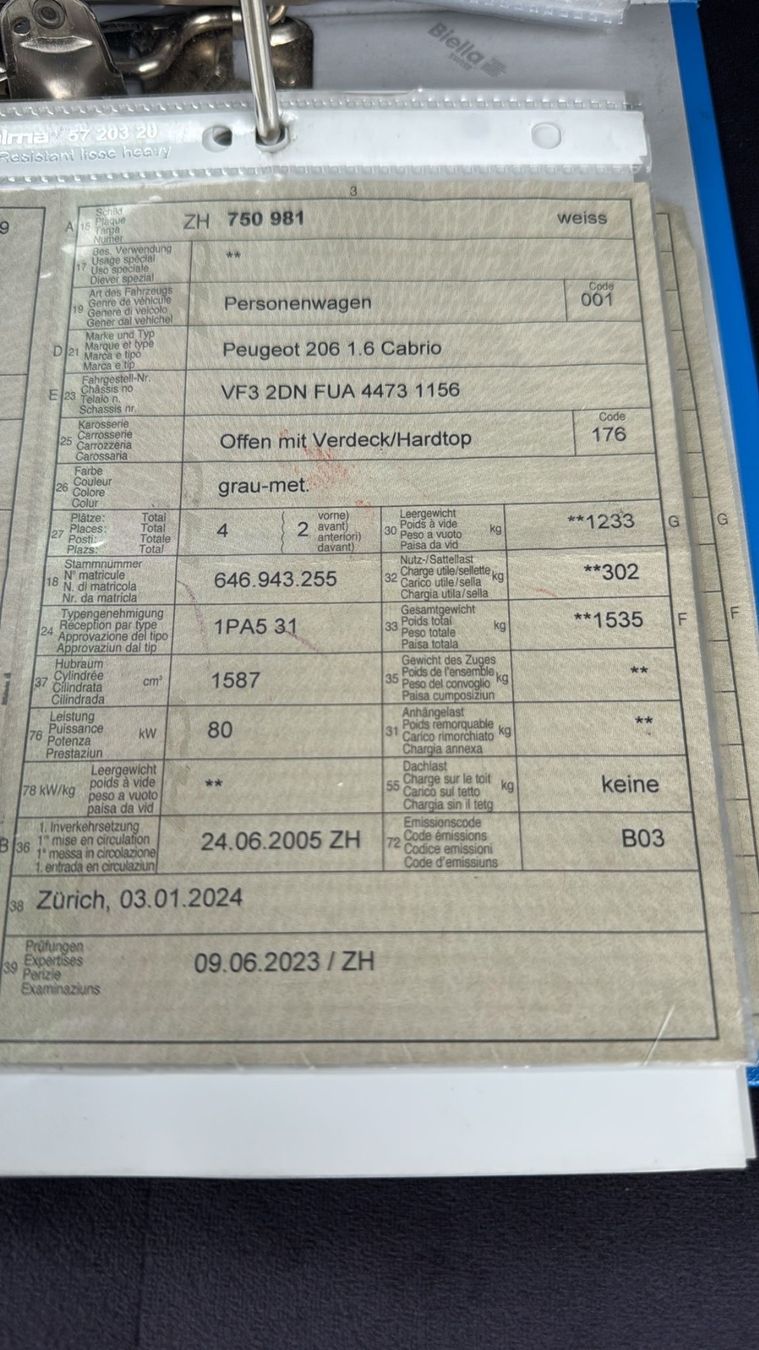 Peugeot Automobili: Peugeot 206 1.6 Cabrio – Usato da Eschen venduto da kingkong010 7