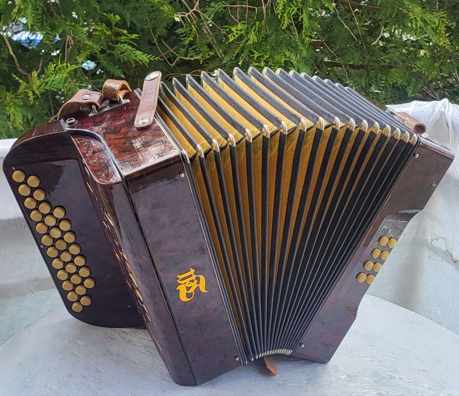 Strumenti musicali: Accordéon Tell Bachembulach Diatonique – Usato da Penthalaz venduto da EvandroLuz 2