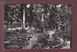 LA CHAUX-DE-FONDS - Bois du Petit-Château - 1955
